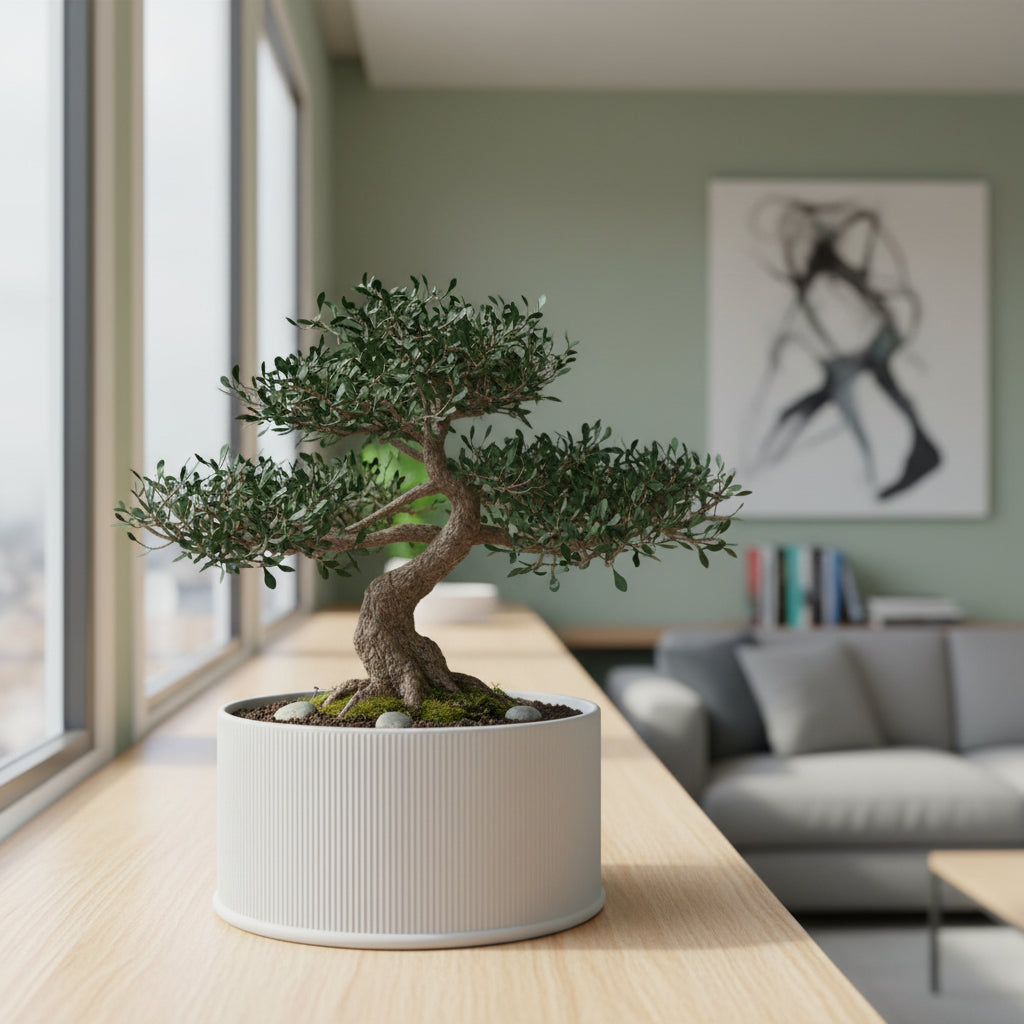 Tori shallow silhouette with fine ribbed texture bonsai planter, side view