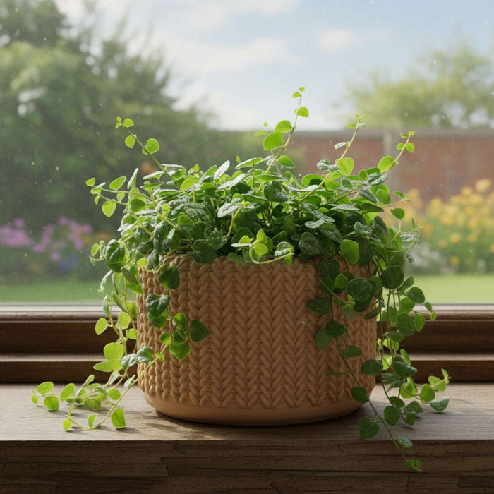 3D Printed Knit Texture Pot "Tressa" Planter with Drainage| Woven Pattern Pot · by Viviero3D