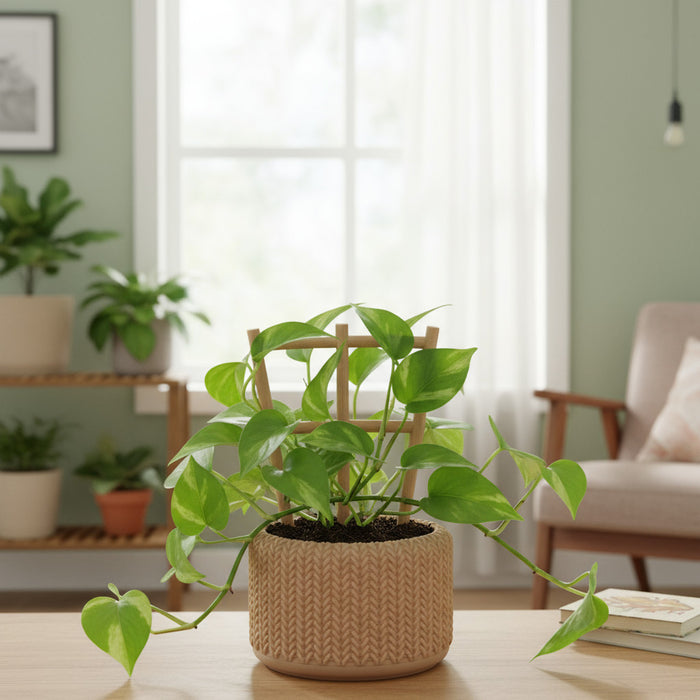 3D Printed Knit Texture Pot "Tressa" Planter with Drainage| Woven Pattern Pot · by Viviero3D