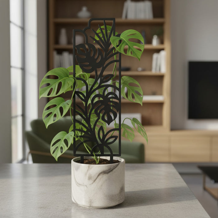 Monstera Plant Trellis Indoor "Tropica"