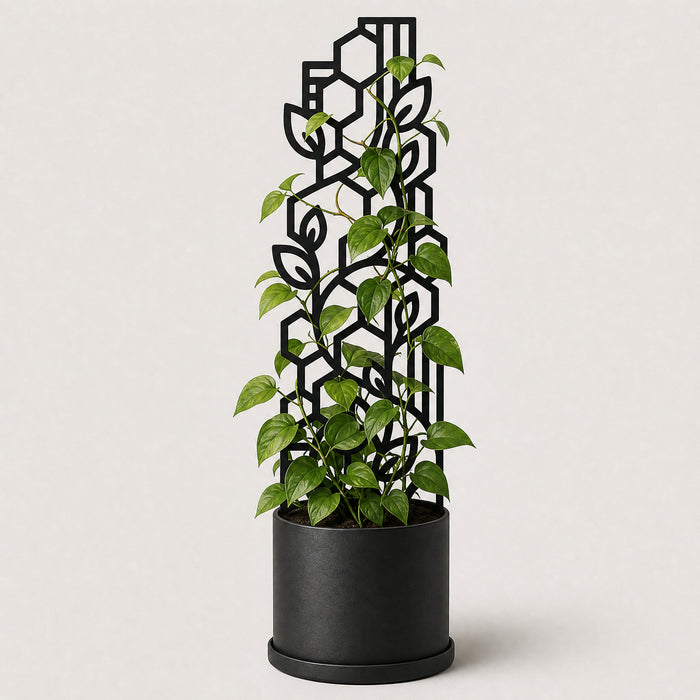 Vine vine-pattern climbing support for indoor climbing plants, front view