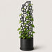 Vine vine-pattern climbing support for indoor climbing plants, front view