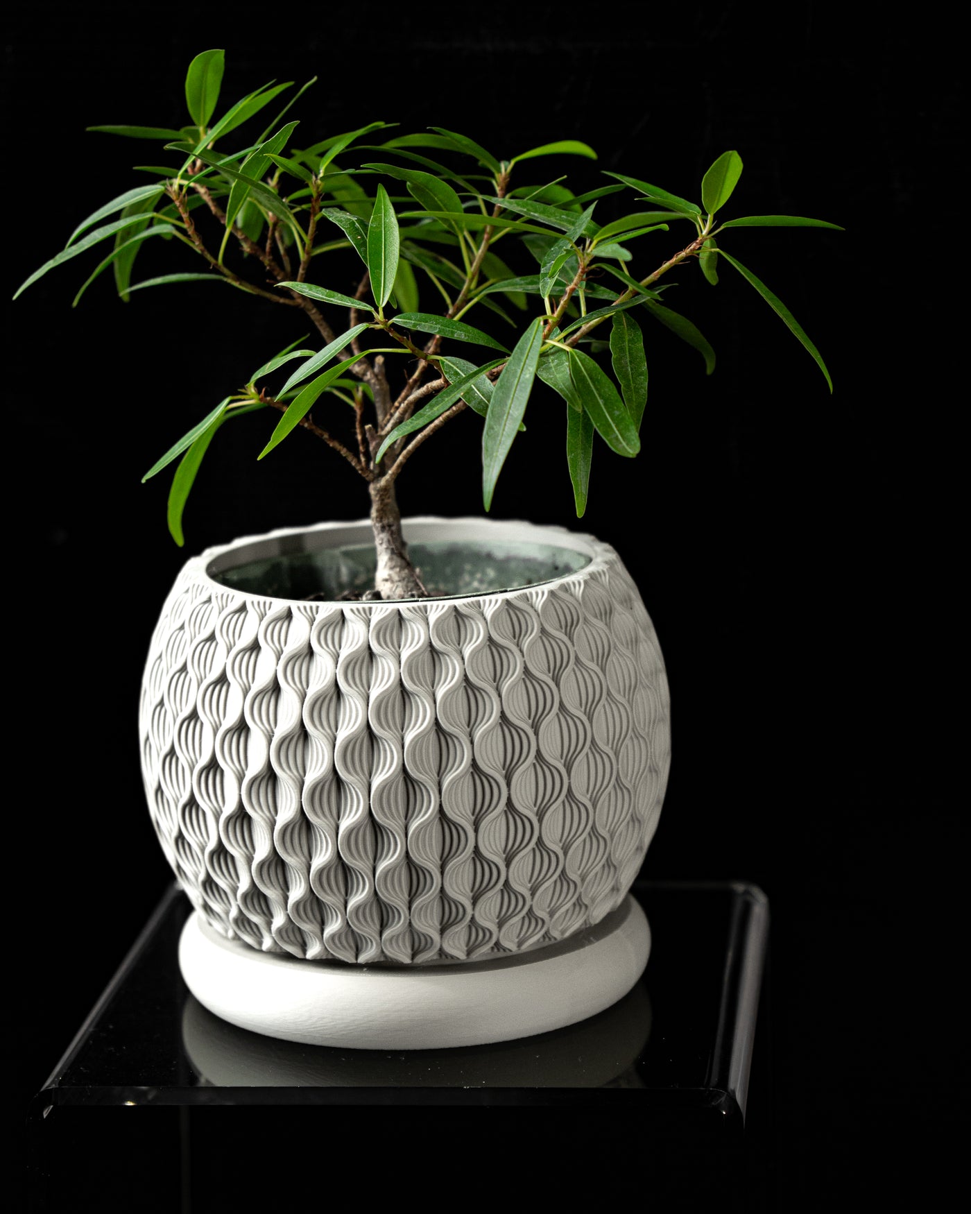 Bloom botanical texture indoor planter, product view 1