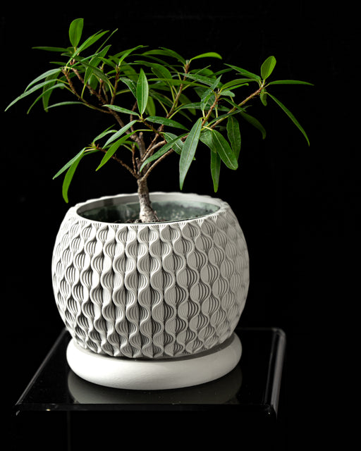 Beige Bloom petal-textured planter with a leafy indoor plant on a black background