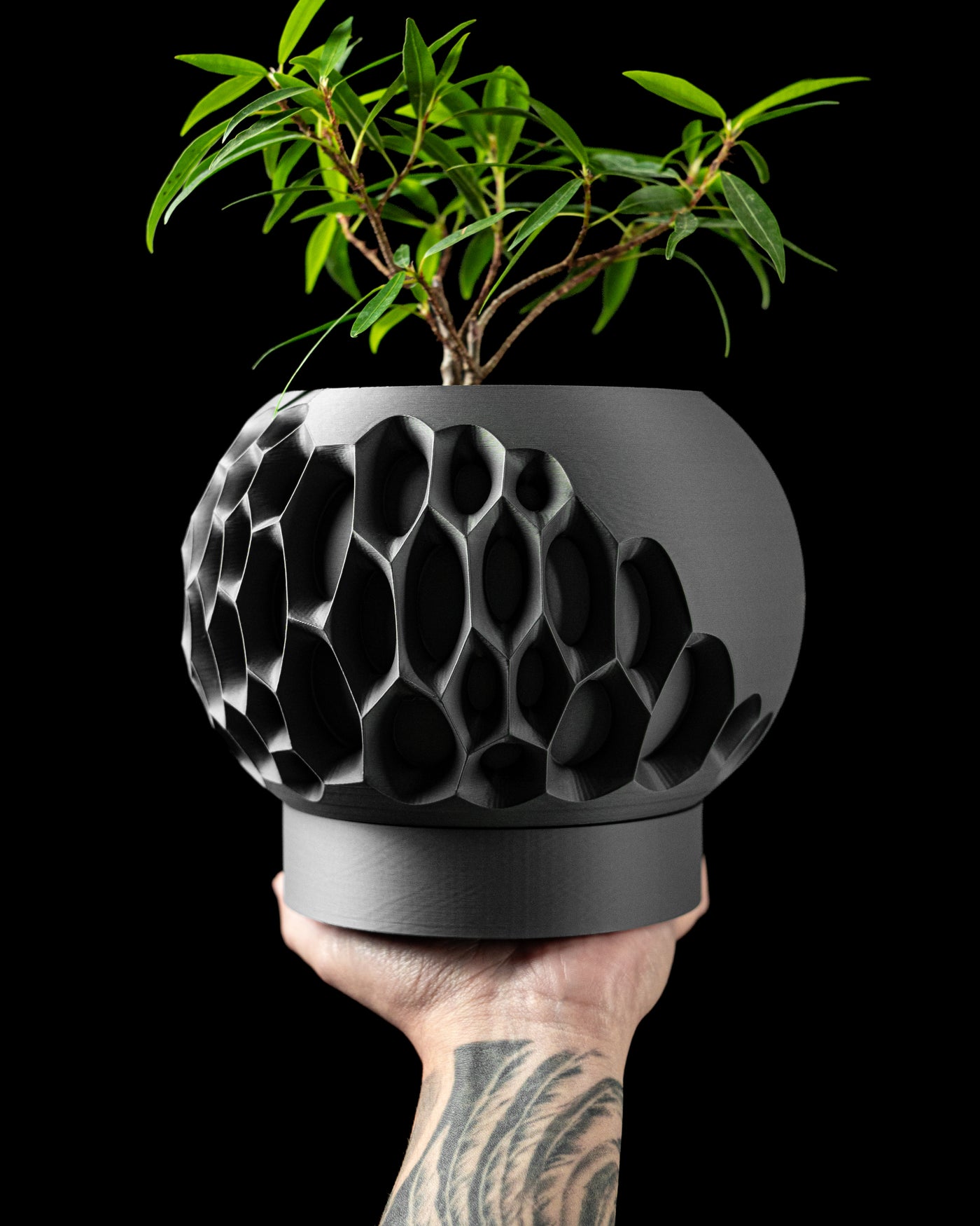 Virus sculptural indoor planter, product view 1