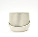 Wall planter “Korin” with ribbed vertical planter insert and rounded wall holder