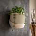 Beige wall planter “Korin” styled with trailing indoor plants on a modern wall