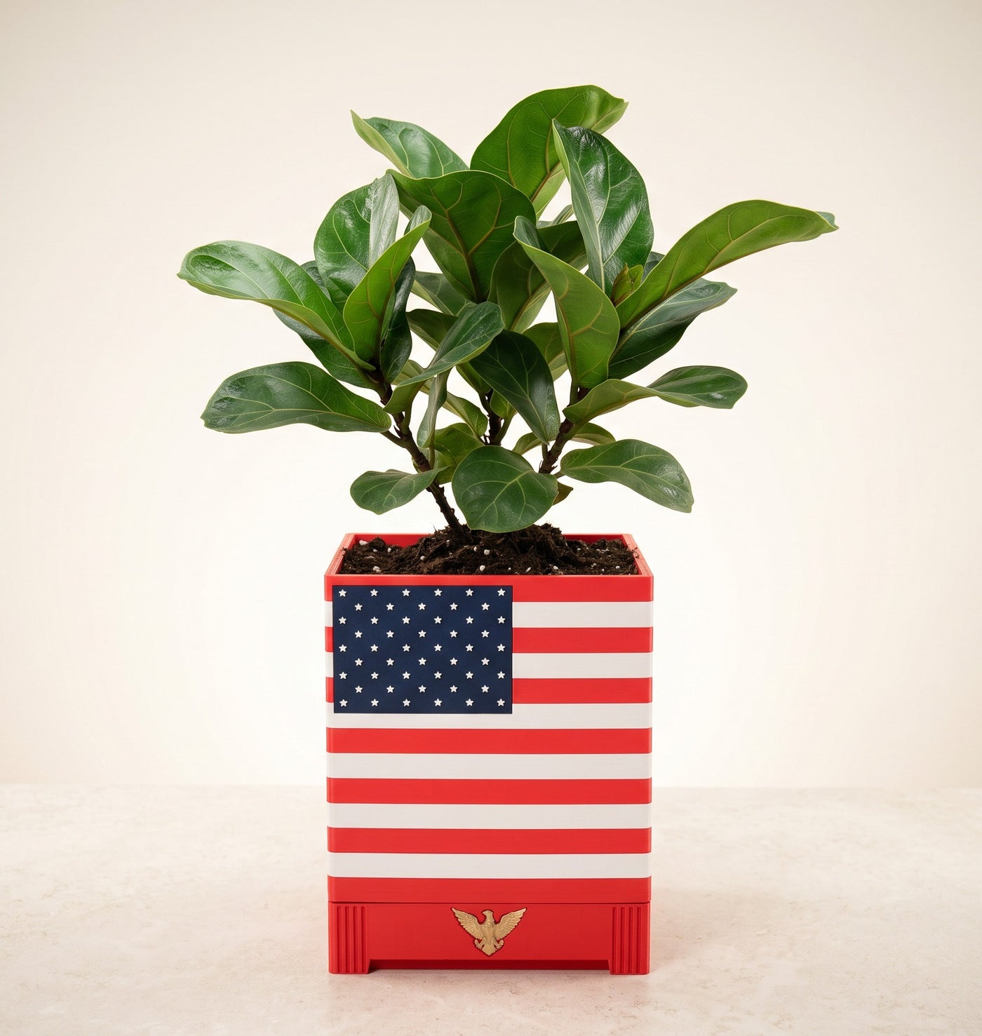 American flag planter with green indoor plant in a bright neutral interior