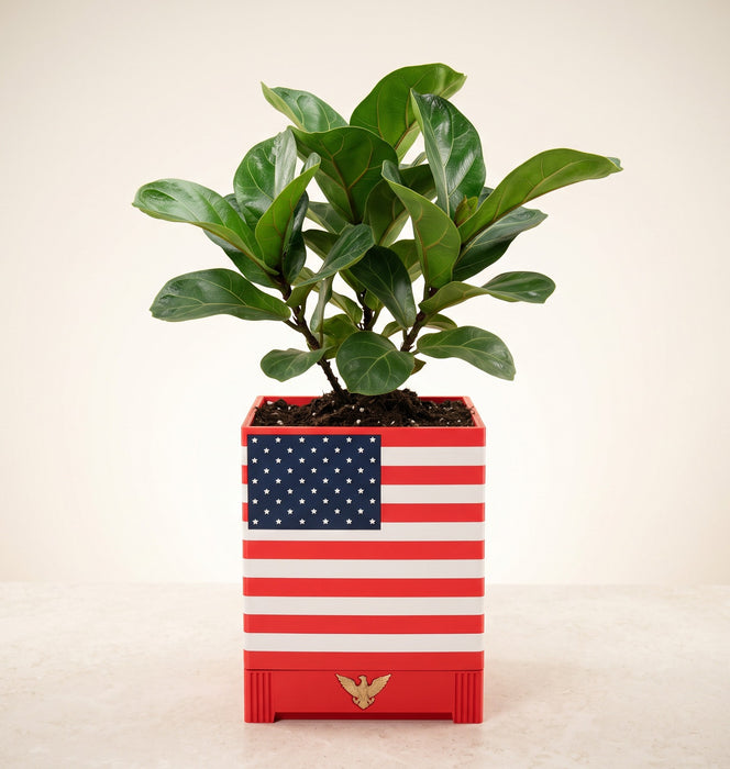 American flag planter with green indoor plant in a bright neutral interior
