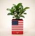 American flag planter with green indoor plant in a bright neutral interior