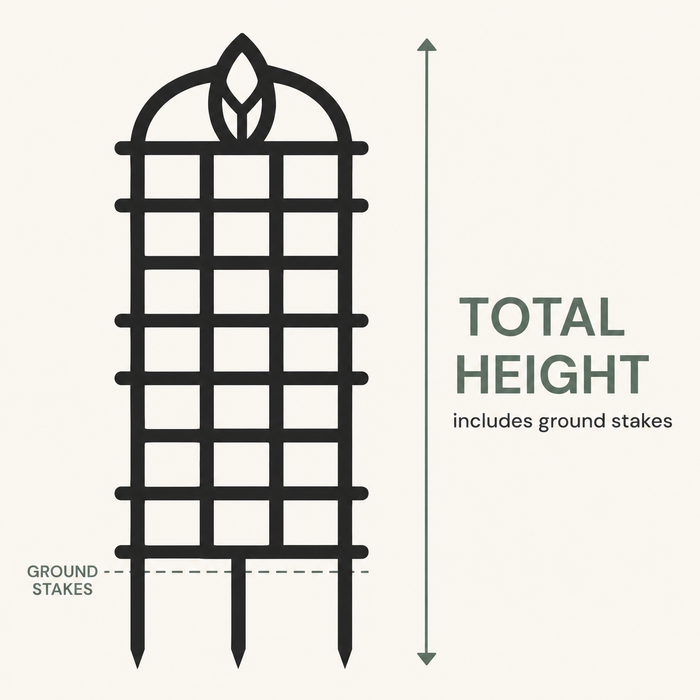 Arbora plant trellis total height guide showing that the selected height includes the ground stakes