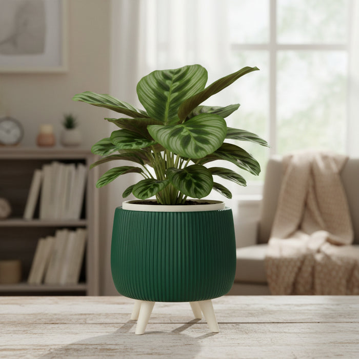 Planter pot "Arco "with Removable Liner & Four Legs – 3D Printed Plant Pot / Cachepot, 3" 5" 7", Elevated Drainage