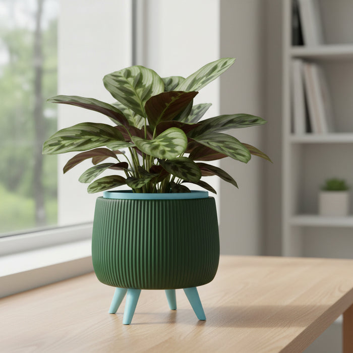 Planter pot "Arco "with Removable Liner & Four Legs – 3D Printed Plant Pot / Cachepot, 3" 5" 7", Elevated Drainage
