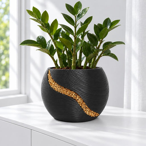 Auron round planter in black with a gold-tone curved inlay and a leafy plant on a white windowsill.