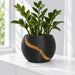 Auron round planter in black with a gold-tone curved inlay and a leafy plant on a white windowsill.