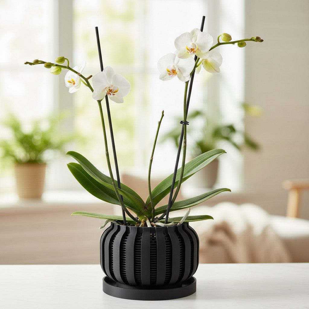 Avix ventilated orchid pot with rounded ribs, front view