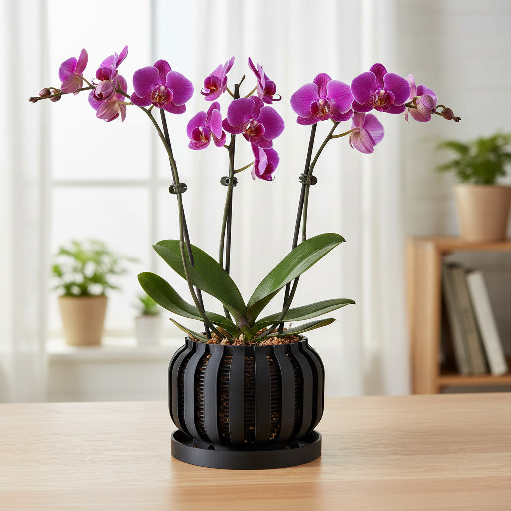 Avix ventilated orchid pot with rounded ribs, side view