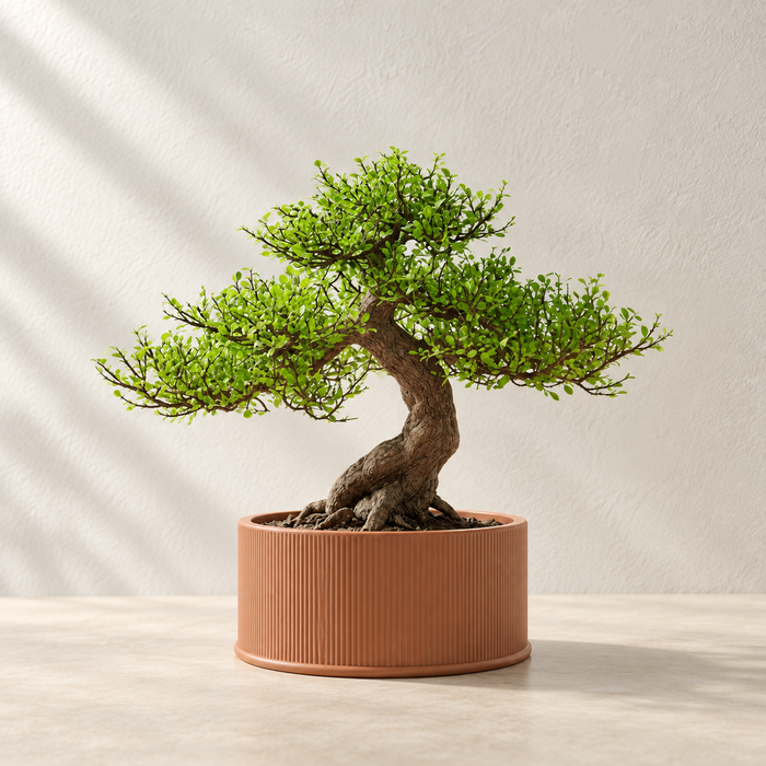 Low-Profile Ribbed Bonsai Planter with Drainage Option | Tori