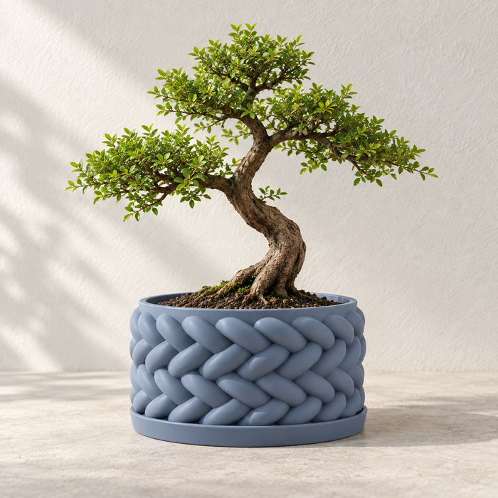 Braided Texture Bonsai Planter with Drainage Option | Braido