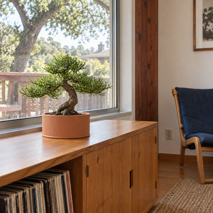 Low-Profile Ribbed Bonsai Planter with Drainage Option | Tori