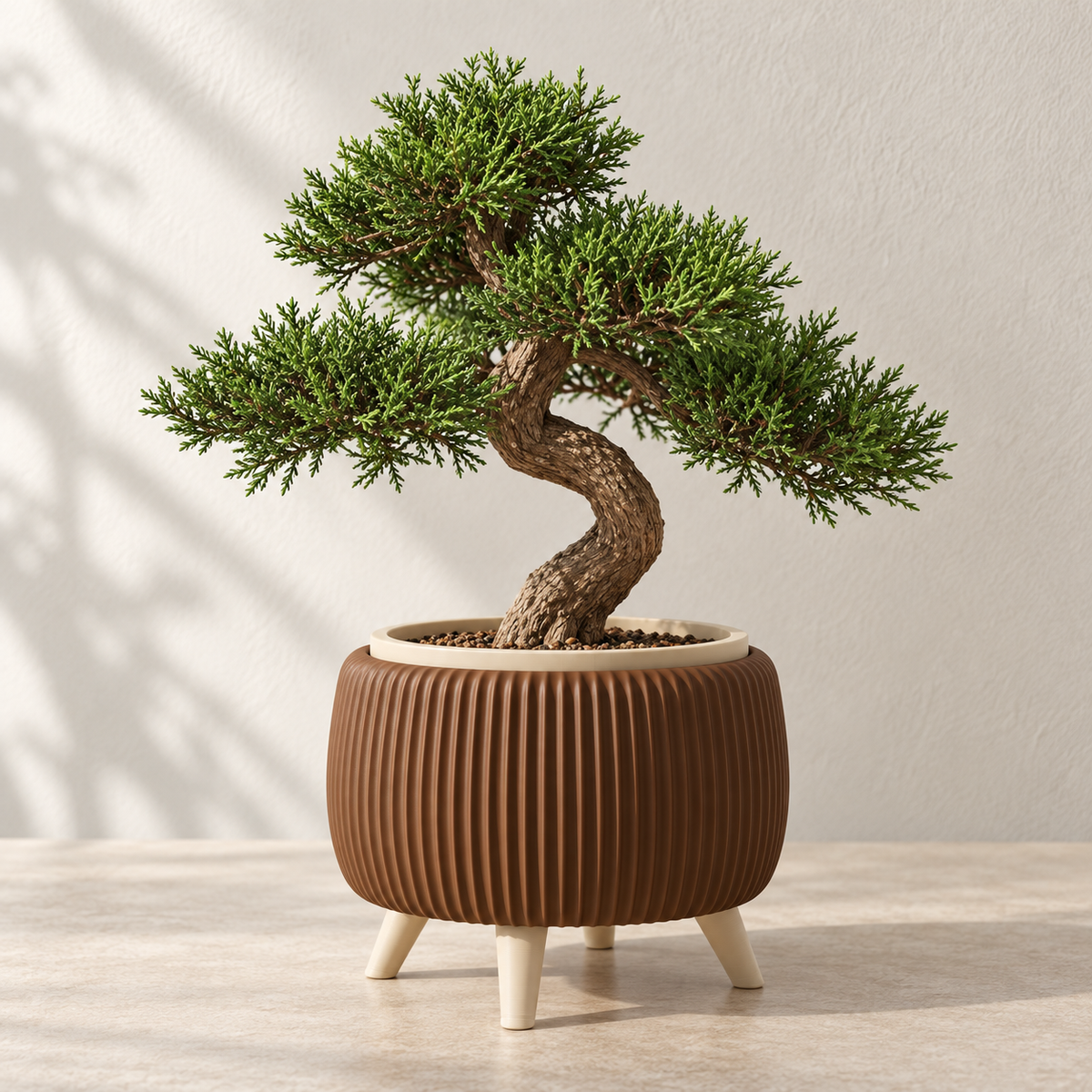 Brown Arco bonsai planter with vertical ribs, cream legs and a sculpted evergreen bonsai.