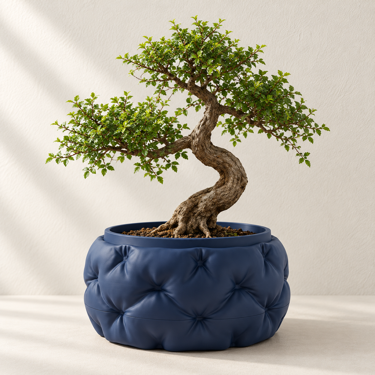 Navy Kivu bonsai planter with deep quilted relief around a rounded bowl and a leafy bonsai tree.