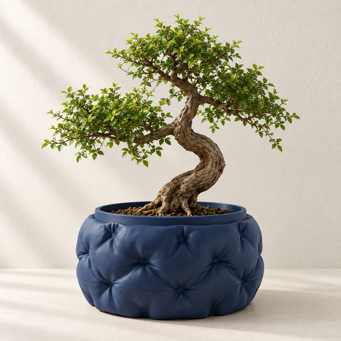 Sculpted Padded Bonsai Planter with Drainage Option | Kivu
