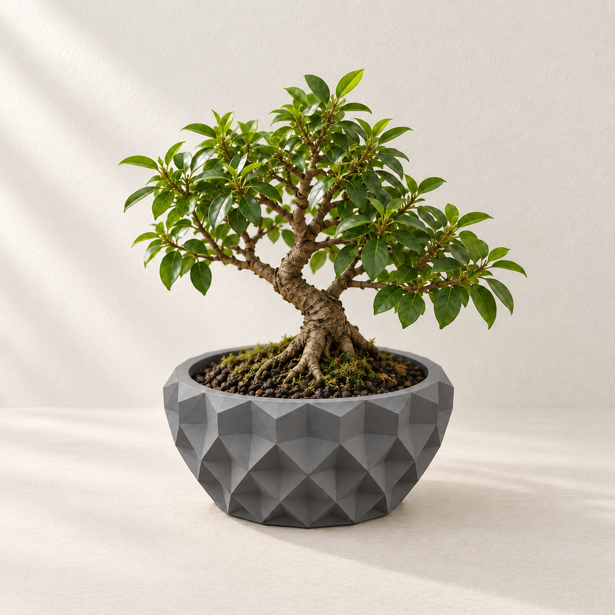 Gray Prizma bonsai planter with triangular facets and a small bonsai tree on a light tabletop.