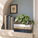Orven 2 book planter with distinctive stacked book spines and Roman numeral details
