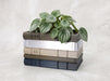 Book Stack Planter “Orven 2” | Custom Book Colors — product image 1