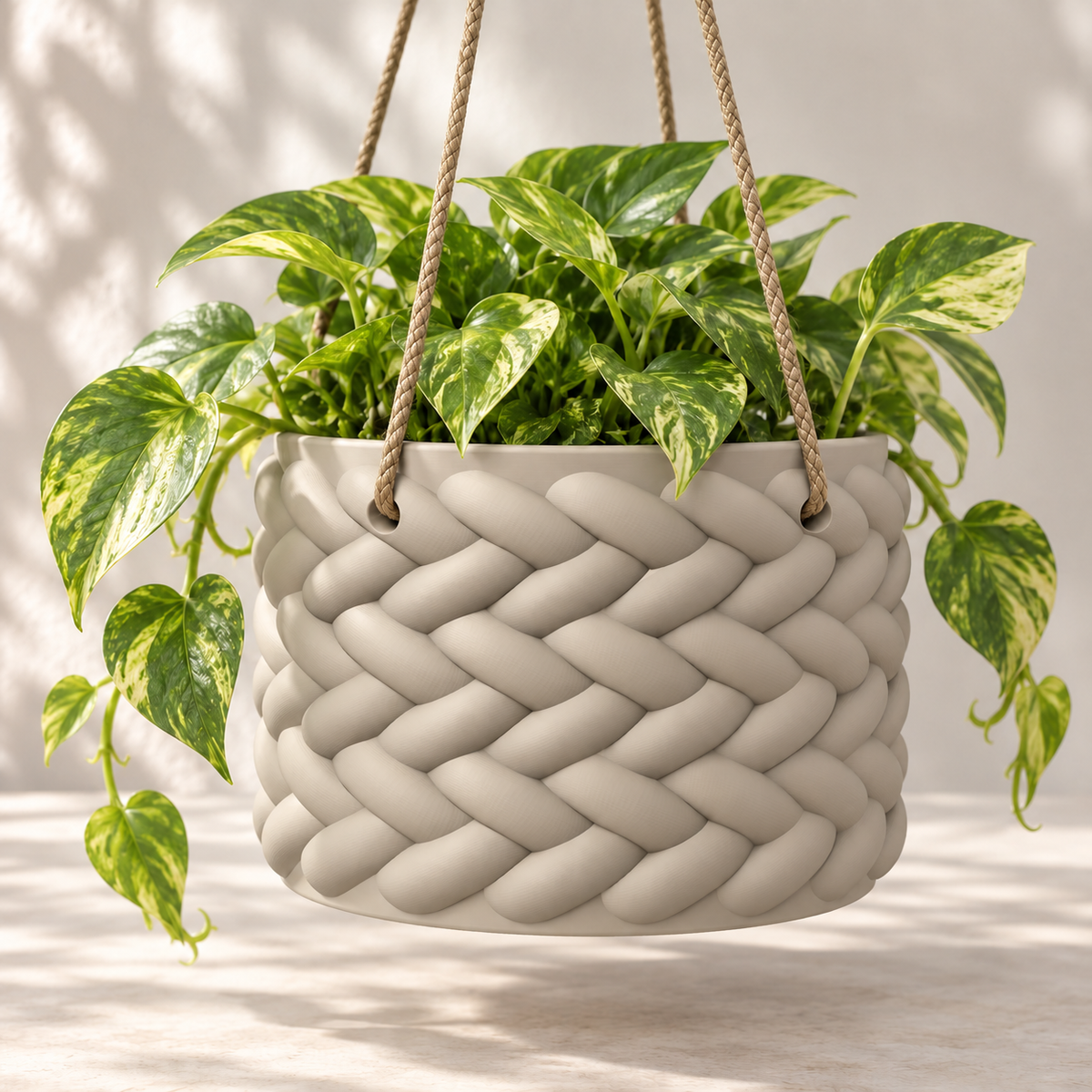 Cream Braido rope hanging planter with trailing variegated foliage against a sunlit neutral background