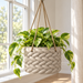 Cream woven hanging planter with variegated foliage suspended beside a bright window