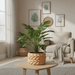 "Braido" Planter – 3D Printed Woven Pot with Saucer, Textured Modern Design for Indoor Plants