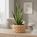 "Braido" Planter – 3D Printed Woven Pot with Saucer, Textured Modern Design for Indoor Plants