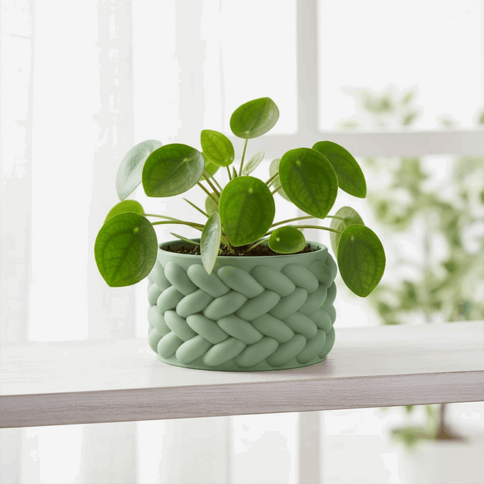"Braido" Planter – 3D Printed Woven Pot with Saucer, Textured Modern Design for Indoor Plants