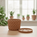"Braido" Weave Planter – 3D Printed Braided Flower Pot with Drainage + Saucer | Modern Terracotta Planter for Succulents or Houseplants