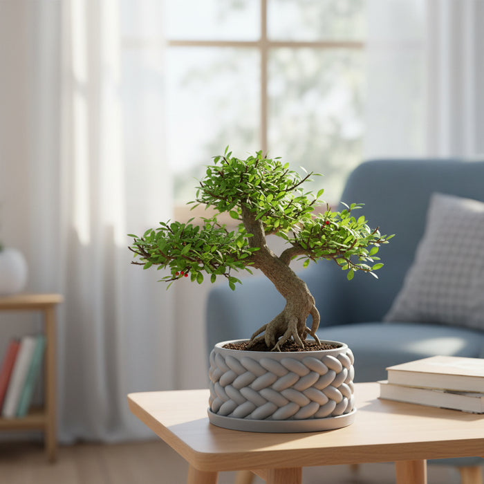 Modern Bonsai Planter “Braido” with Braided Texture