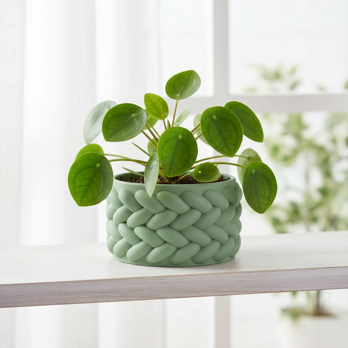 Braido Planter – 3D Printed Woven Pot with Saucer, Textured Modern Design for Indoor Plants