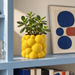 Bubble bubble planter styled to show volumetric rounded bubble texture