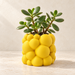 Bubble bubble planter with volumetric rounded bubble texture