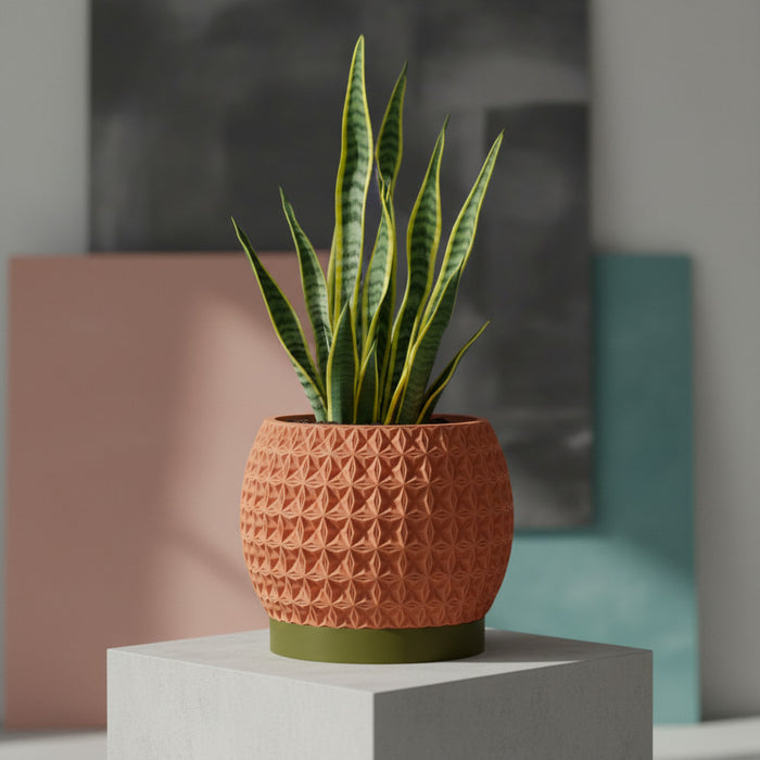 Geometric Textured Planter "Burst"