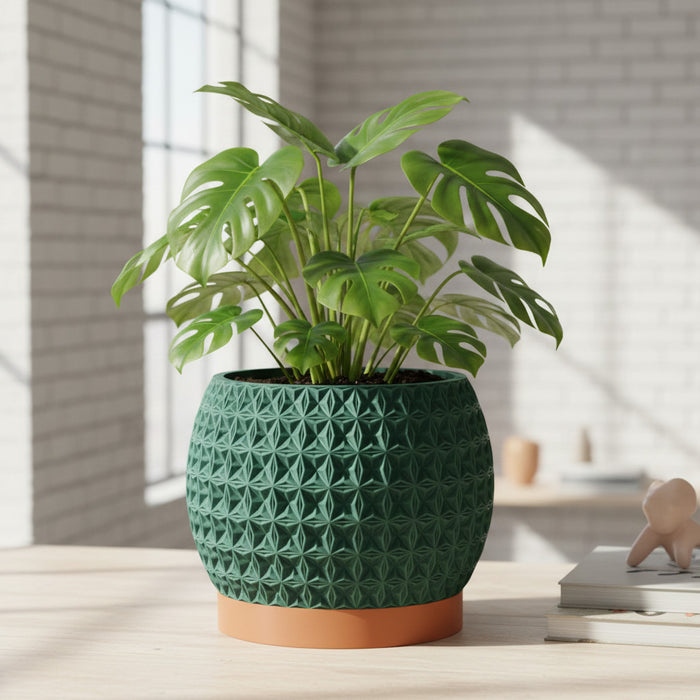 Geometric Textured Planter "Burst"