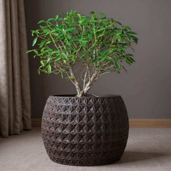 Geometric Textured Planter "Burst"