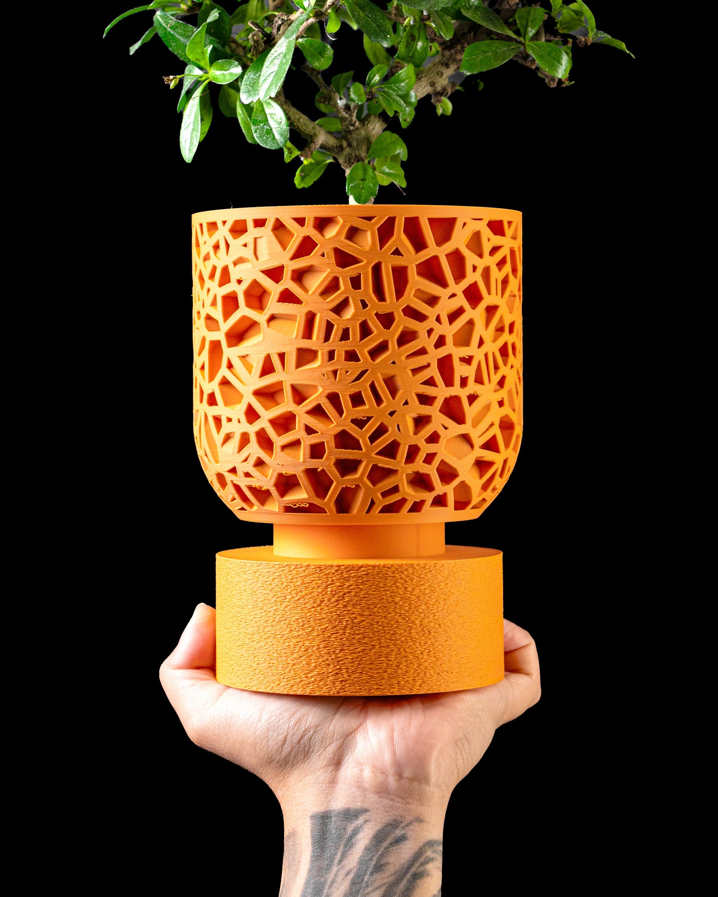 Cella lattice pedestal planter shown in hand for visual scale