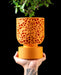 Cella lattice pedestal planter shown in hand for visual scale