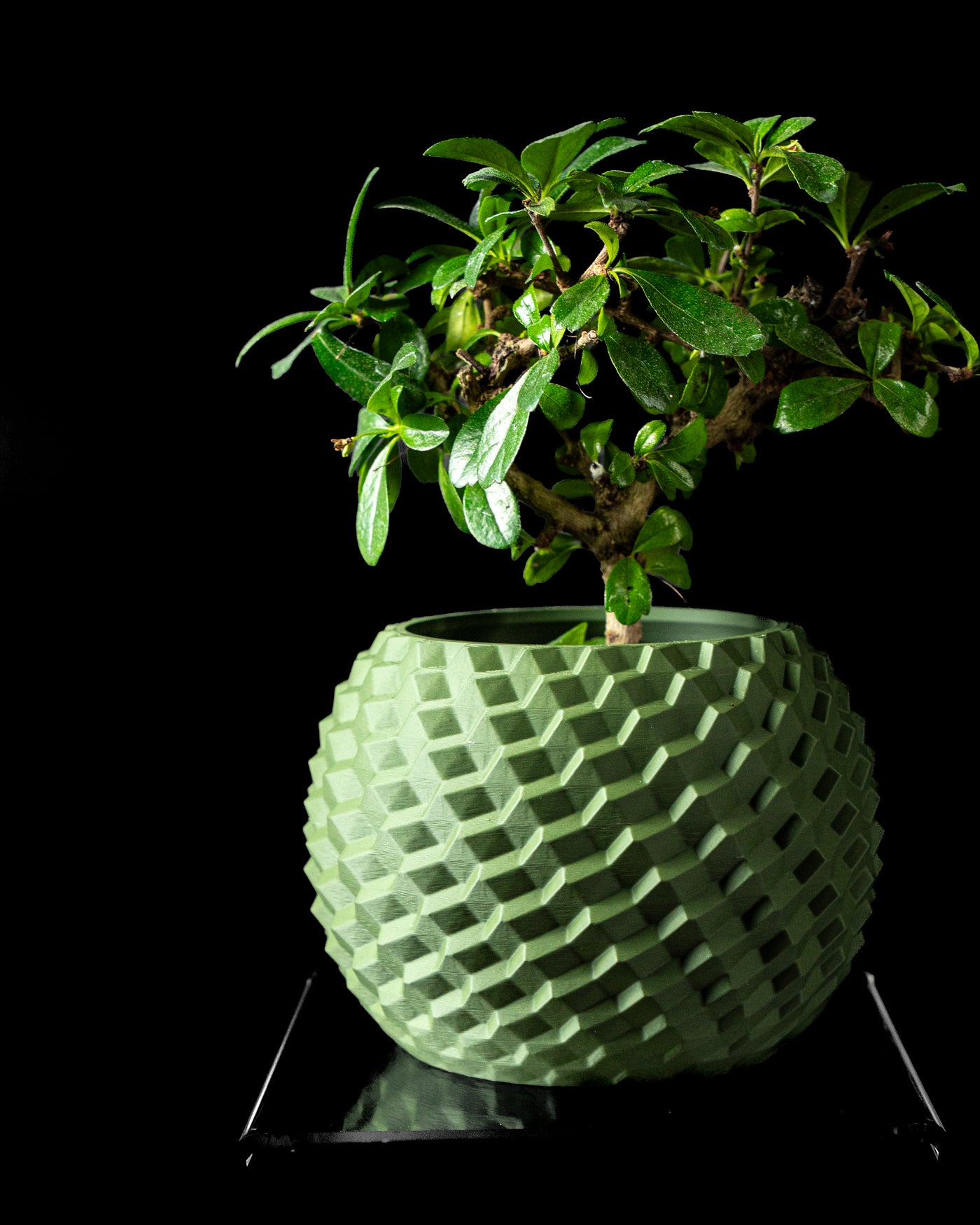Cobble geometric round planter styled with an indoor plant