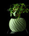 Cobble geometric round planter styled with an indoor plant