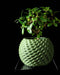 Cobble geometric round planter styled with an indoor plant