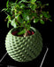 Cobble indoor plant pot angled view showing planting opening
