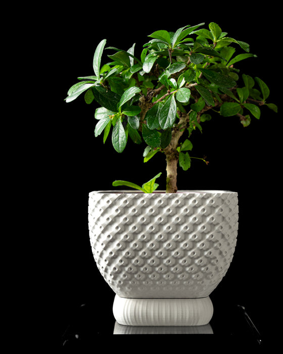 Connect textured indoor plant pot styled with a plant